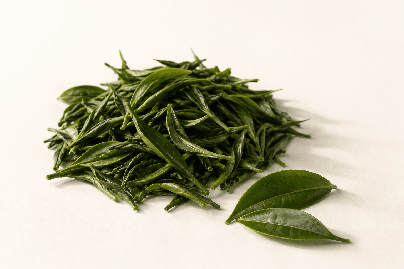 A loose pile of fresh green tea leaves with two intact leaves in front